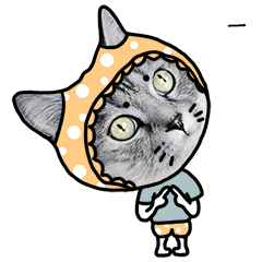 《萌力喵撩》微信表情包分享啦.