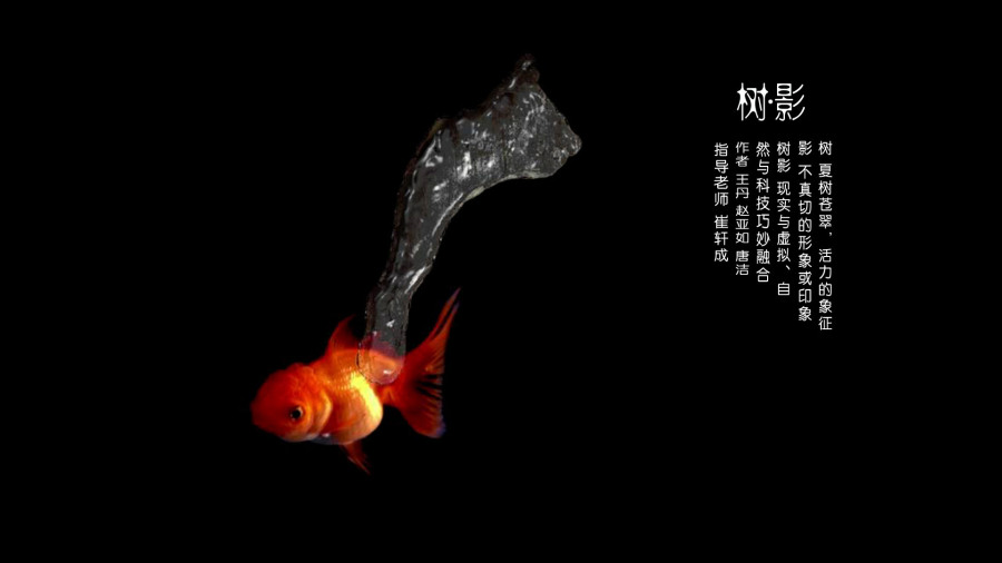 南艺2016年传媒学院数媒专业毕业展户外虚拟