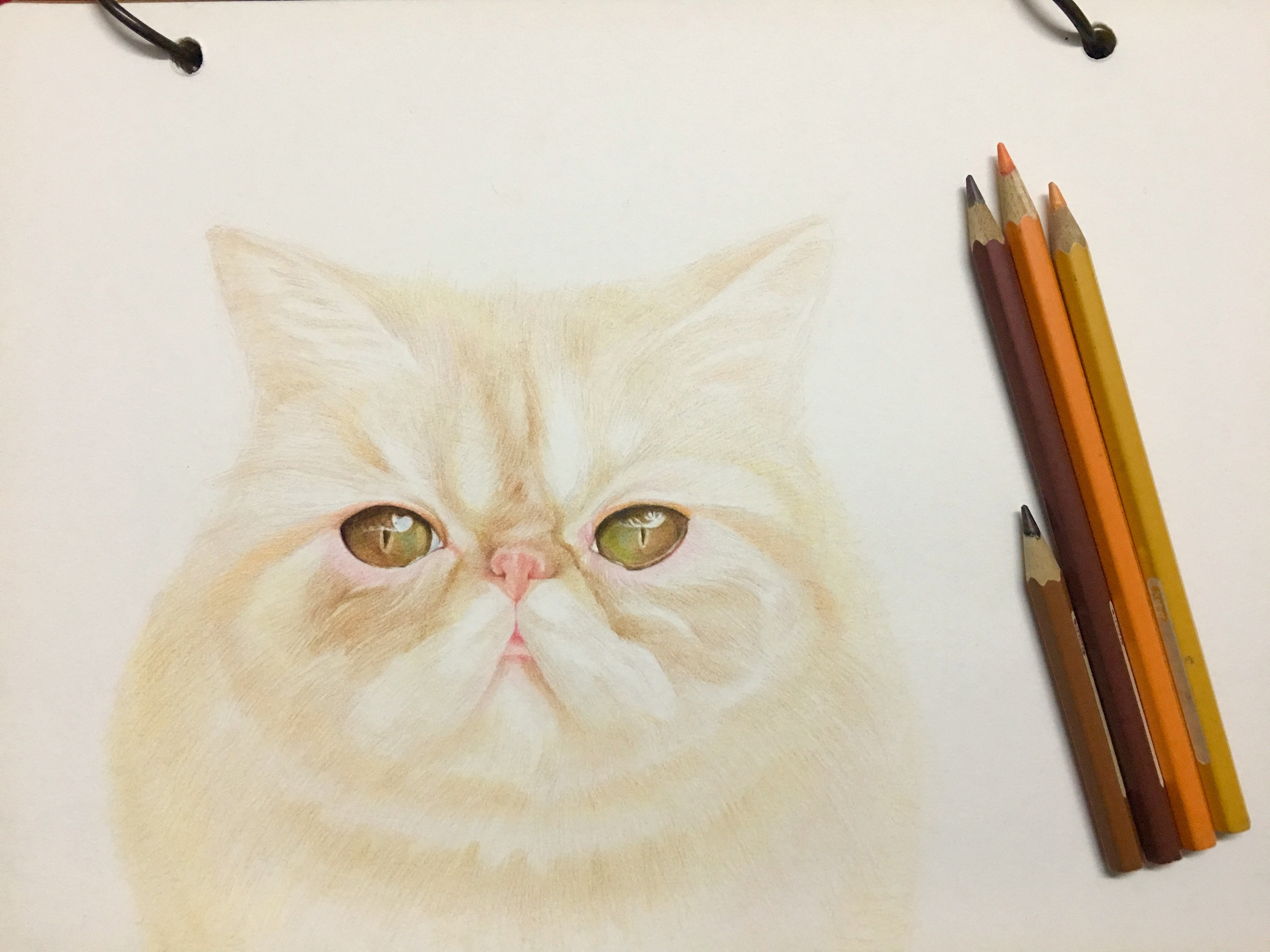 轻描淡写 站酷网