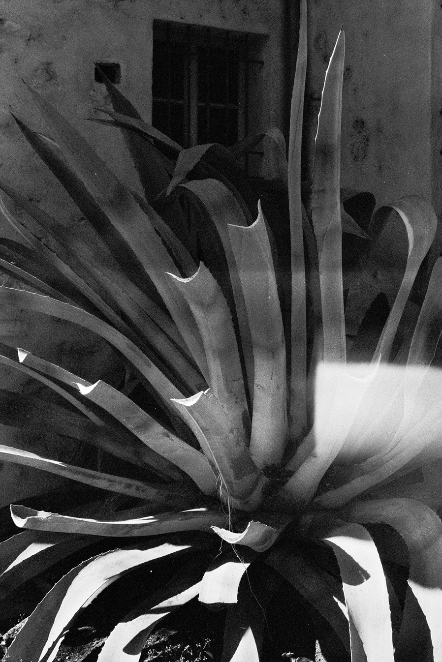 【黑白胶片:西西里的惊艳之旅】|游记|摄影|吧嗒