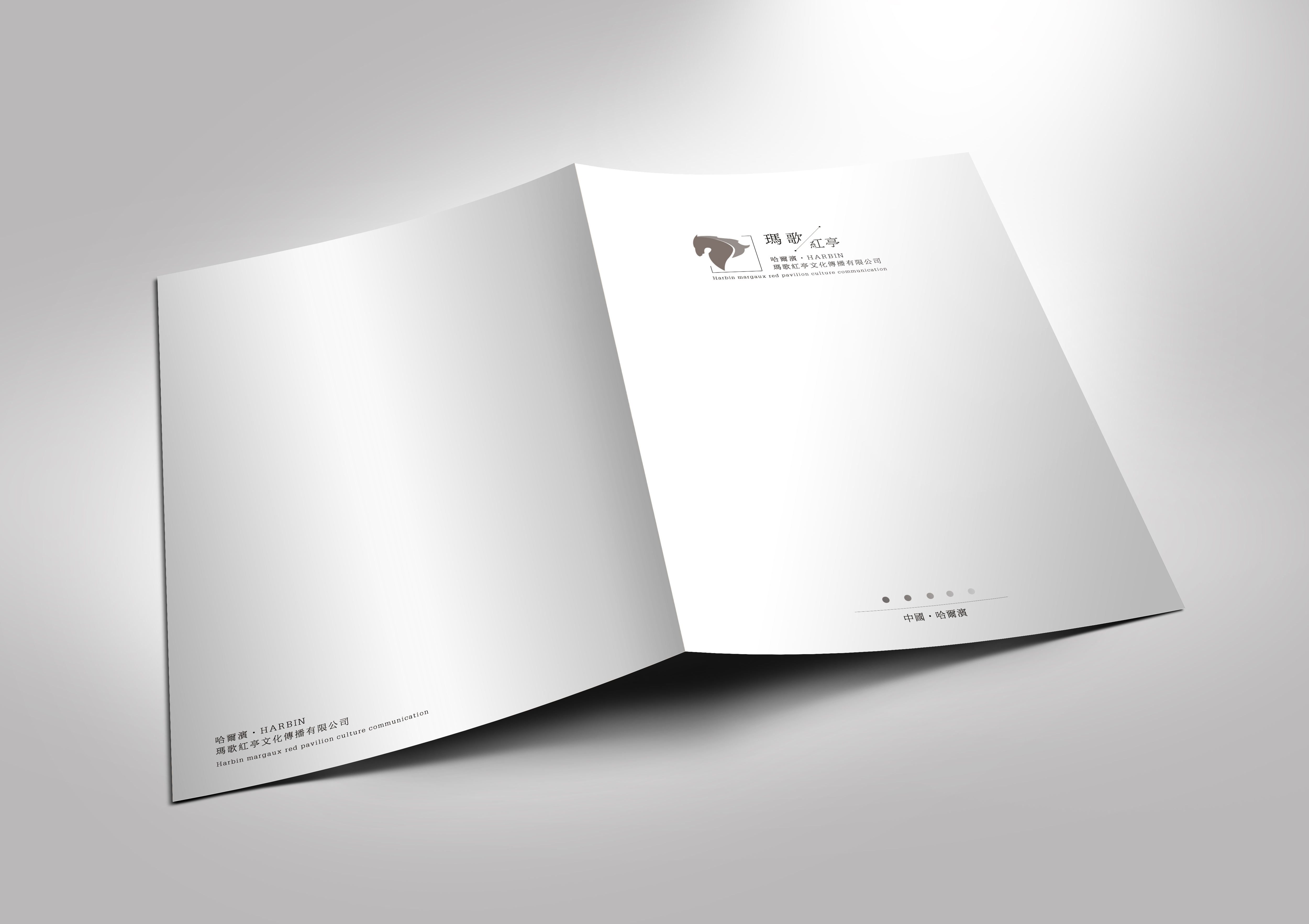 简洁风格画册设计/会议策划宣传图册