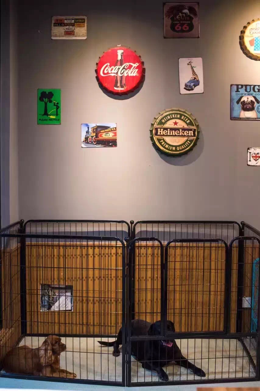 《猫先森的宠物店》品牌设计欣赏|标志|平面|命