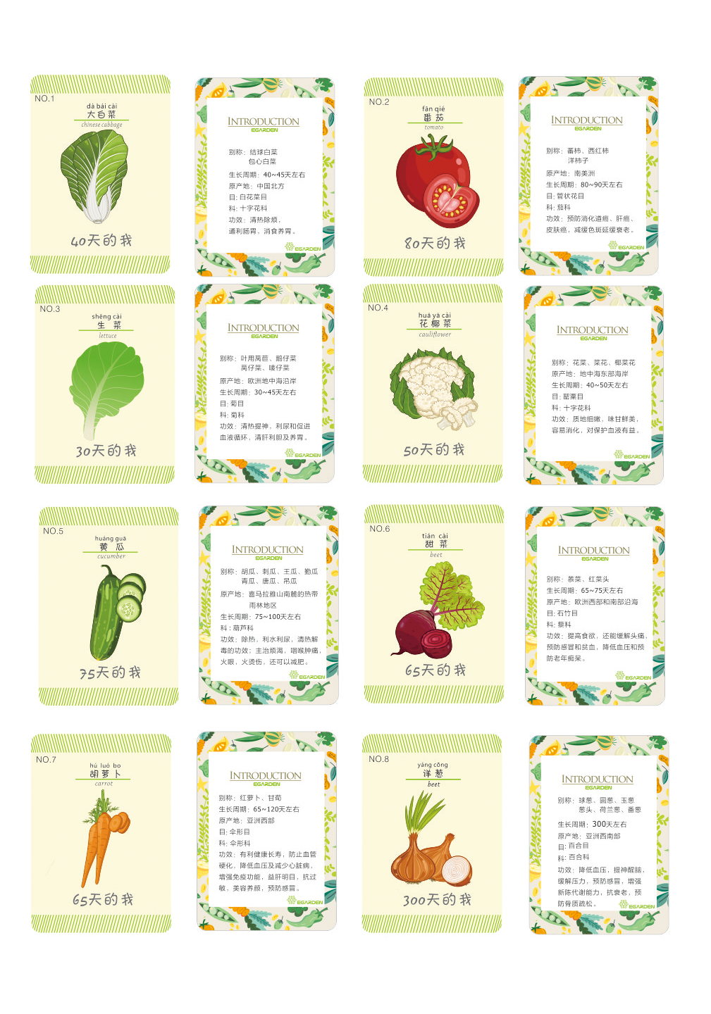 蔬菜卡片