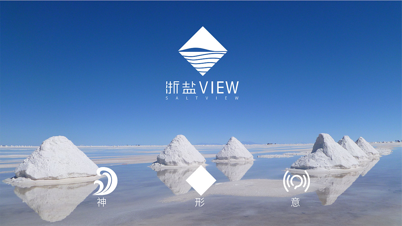 浙盐view——盐业信息传播平台logo/二维码设计