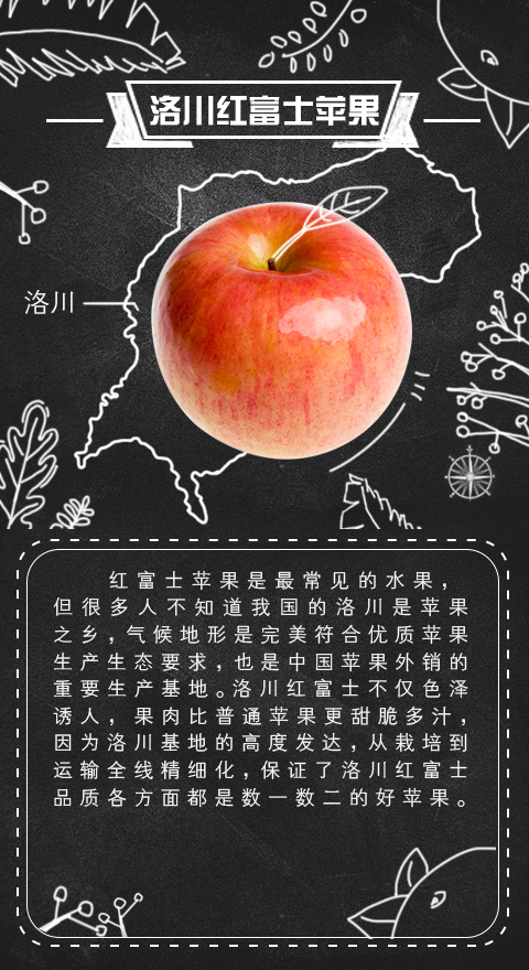 京东生鲜微博日常-地图系列|DM\/宣传单\/平面广