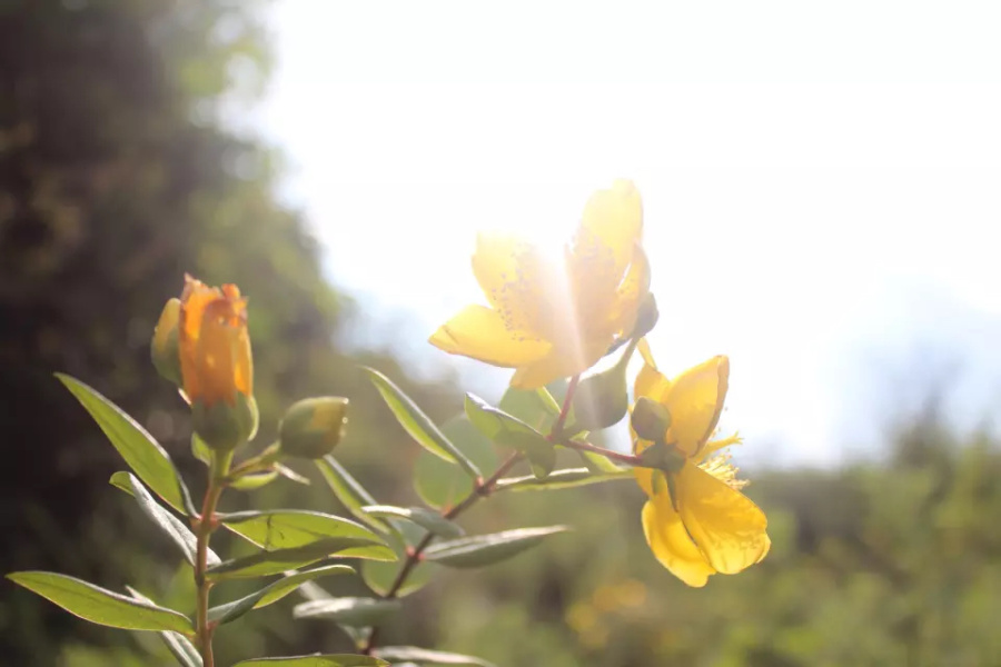 一米阳光|风光|摄影|Five时光无声 - 原创设计作