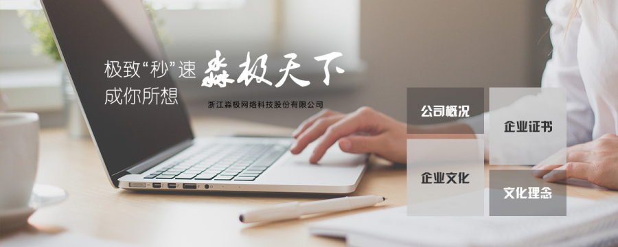 浙江淼极网络科技有限公司企业网站顶部bann