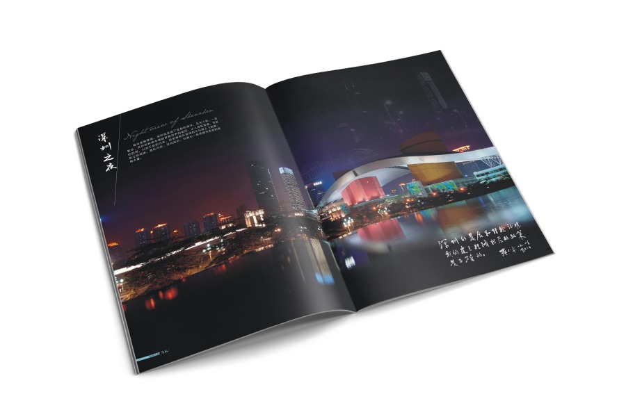 来了就是深圳人|书装\/画册|平面|DoublebinS - 原