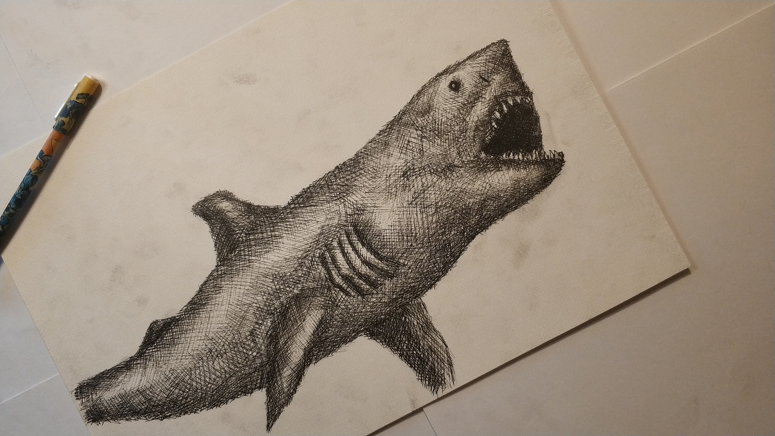 巨齿鲨|纯艺术|绘画|iso绘 - 原创作品 - 站酷 (zcool)
