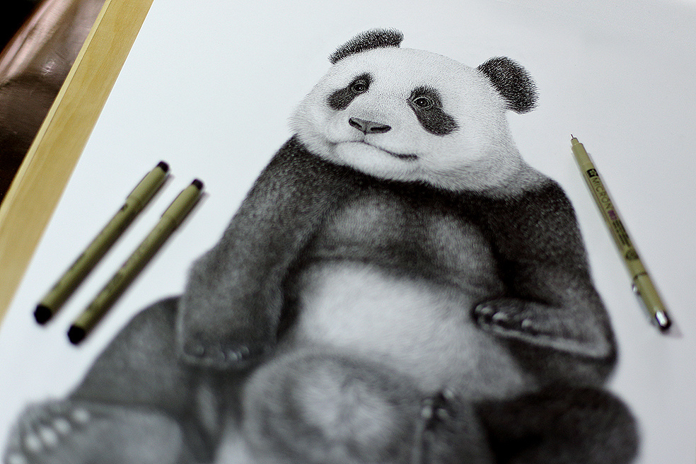 钢笔画-大熊猫