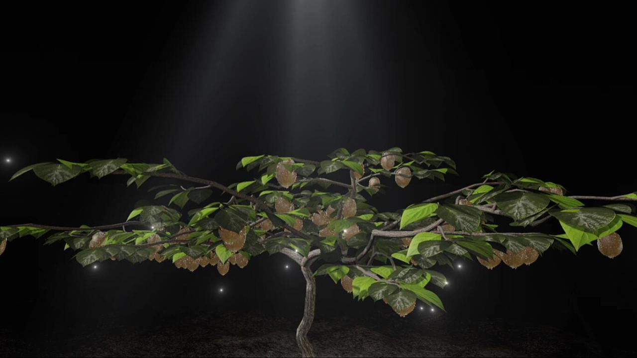 【VFX】猕猴桃树生长|影视|后期\/剪辑|7wcc - 原