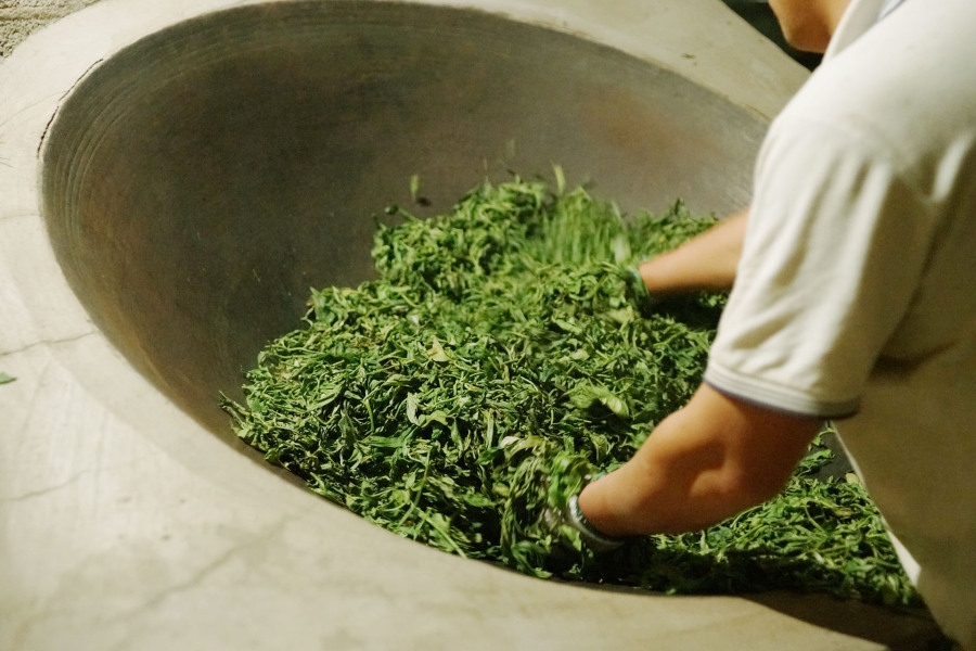 叶上新绿-古树茶包装设计|包装|平面|零界视野 