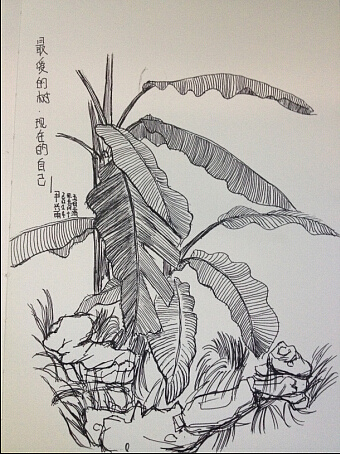 旅行写生《随心》