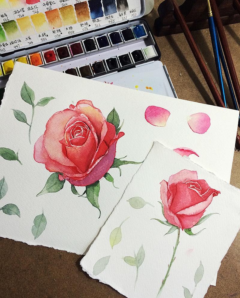 水彩手绘玫瑰花