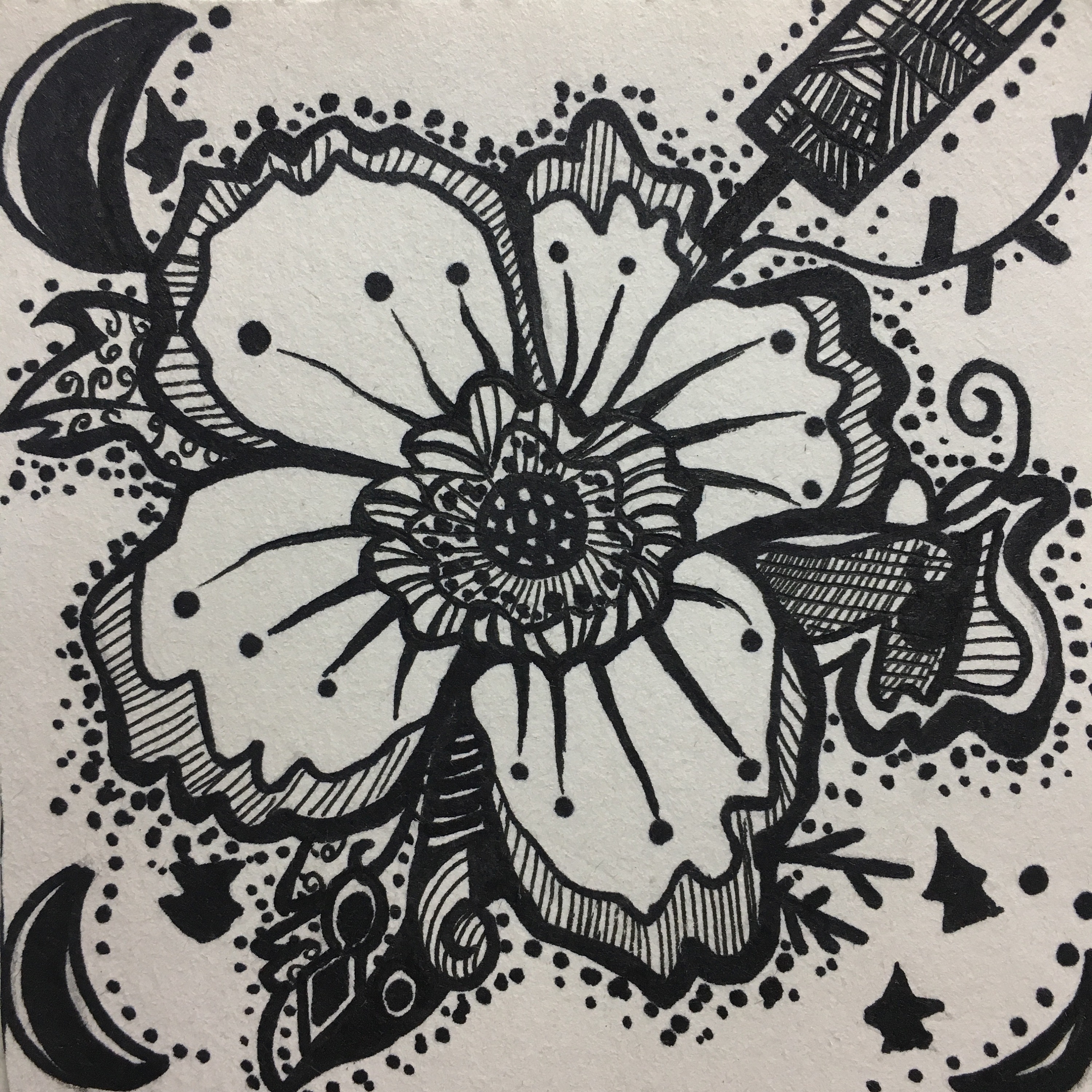 花卉黑白装饰画
