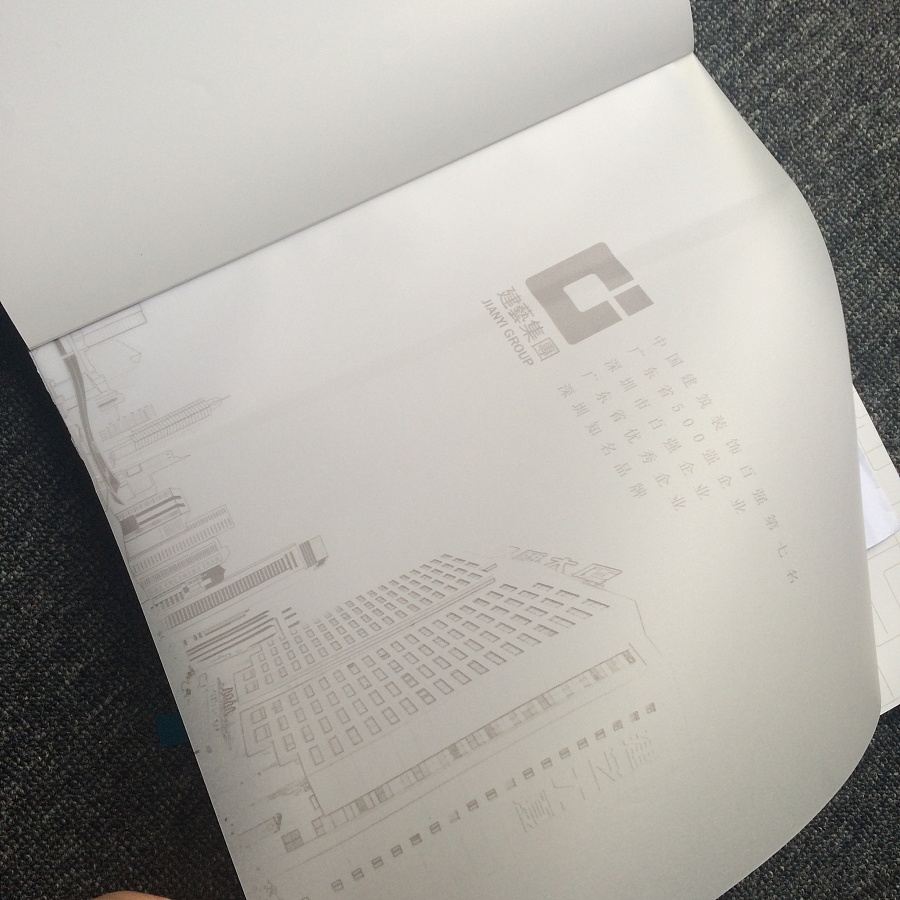 集团上市公司及政府单位画册、品牌形象设计公