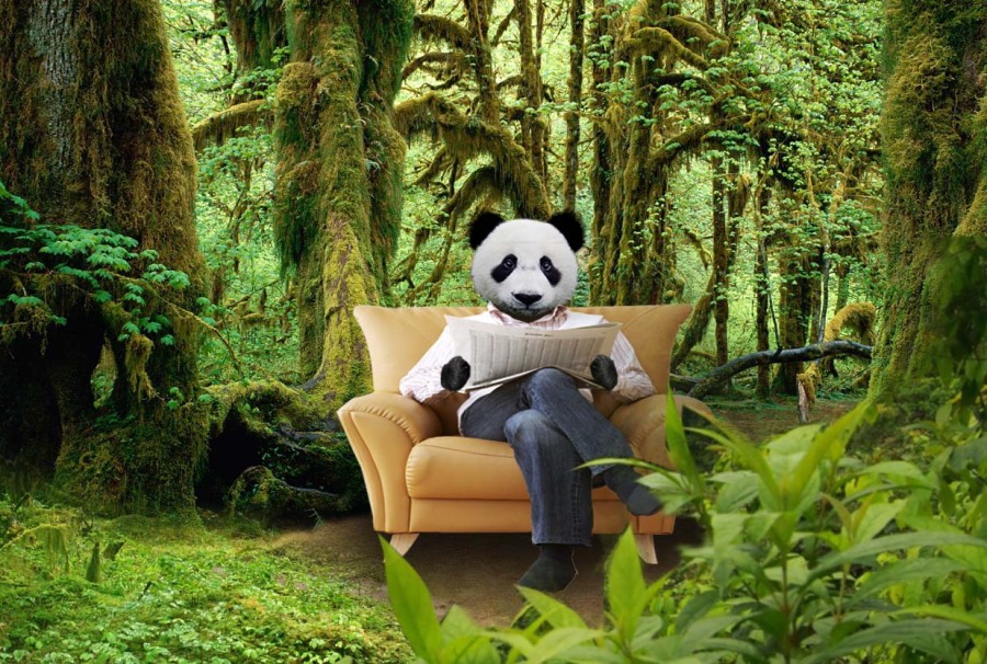 ps练习场景合成|海报|平面|爱猫宅君 - 原创设计