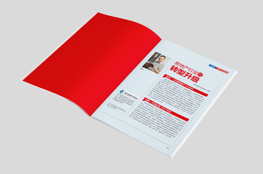 《西宁市房地产业》期刊设计|书装\/画册|平面|在