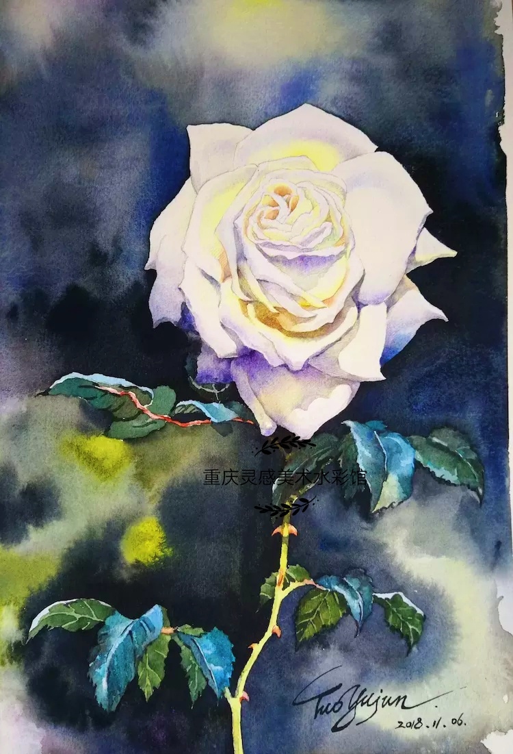 《玫瑰系列水彩画》|纯艺术|水彩|灵感美术水彩馆