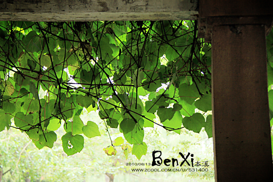 本溪-乱走乱拍|游记|摄影|刀鬼几 - 原创设计作品