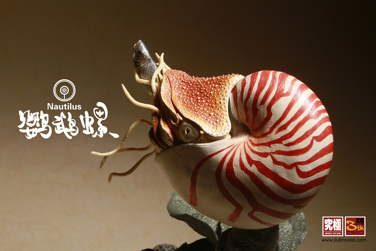 究极工作室三周年纪念限定款NO.1【鹦鹉螺】完成品