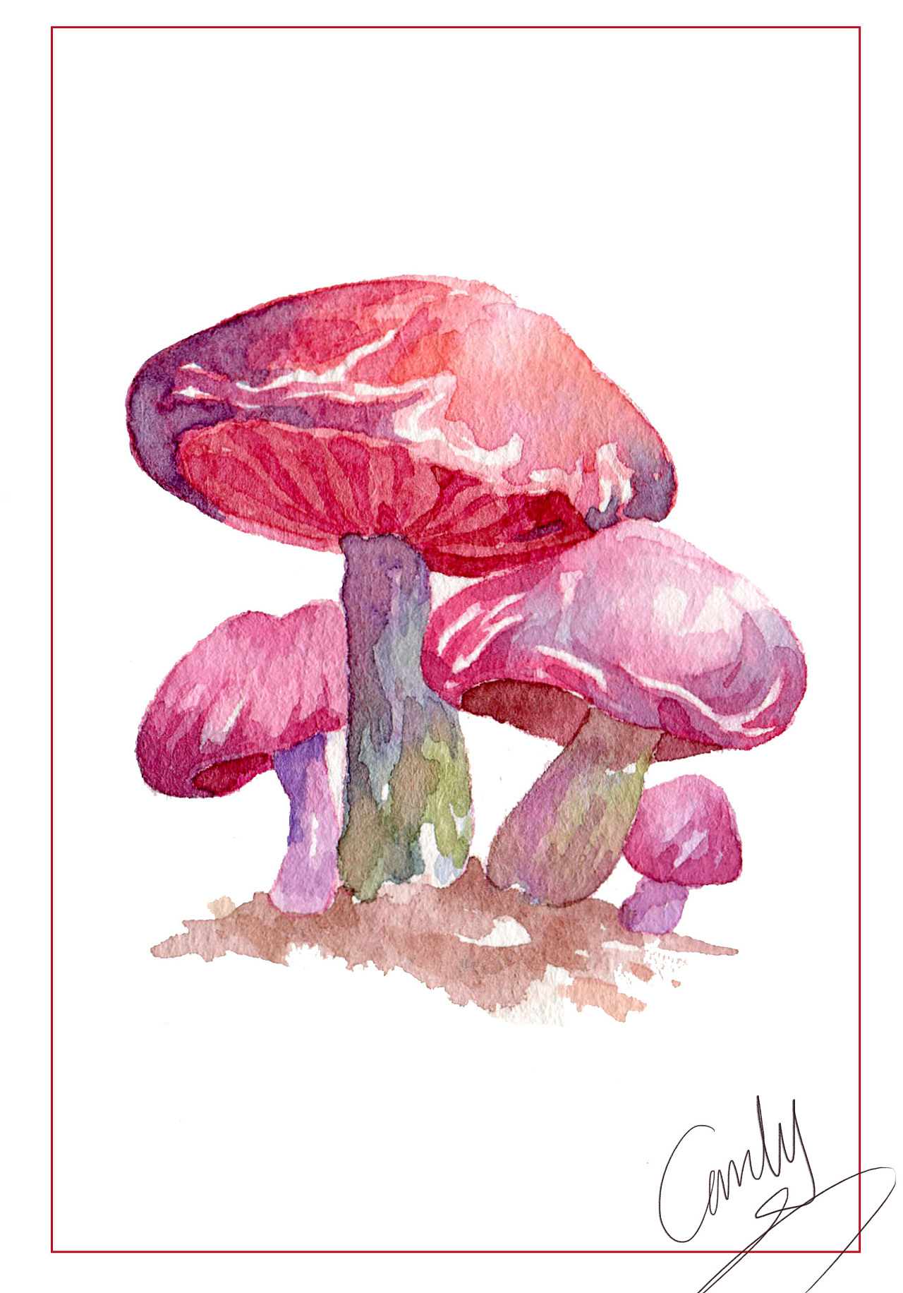 发一堆毒蘑菇