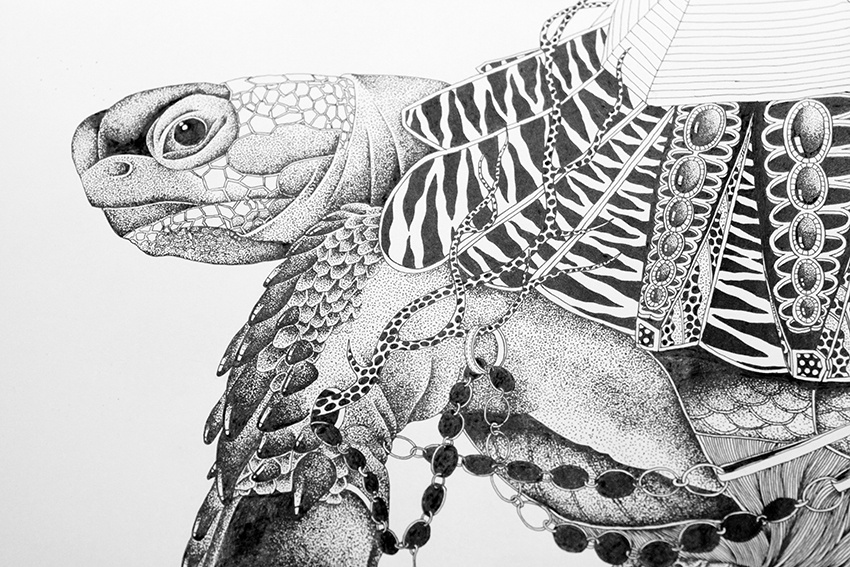 去年手绘的海龟