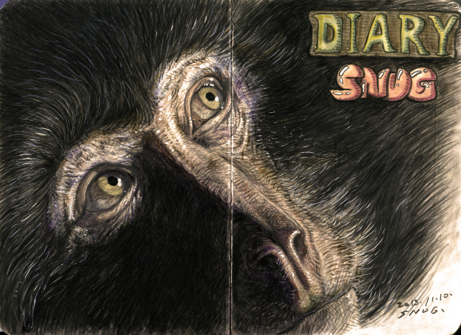 巴巴利猕猴|绘画习作|插画|SNUG - 原创设计作
