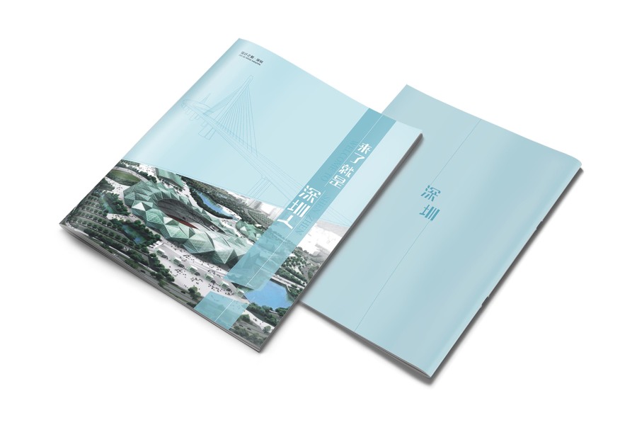 来了就是深圳人|书装\/画册|平面|DoublebinS - 原