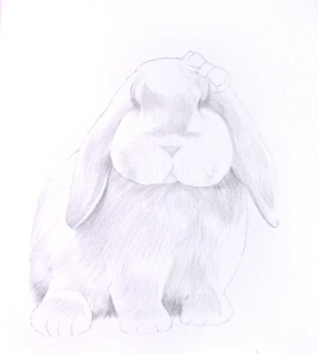 教程:彩色铅笔画步骤教程:垂耳兔的画法 (原创文章)