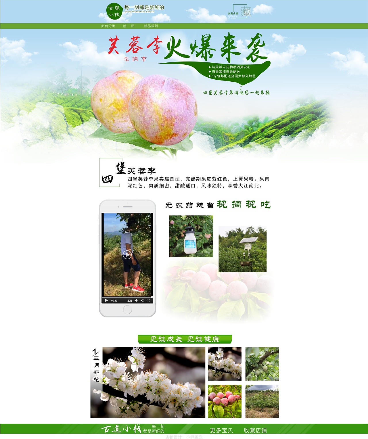 基础版淘宝首页宽屏设计同步详情页全屏店招|