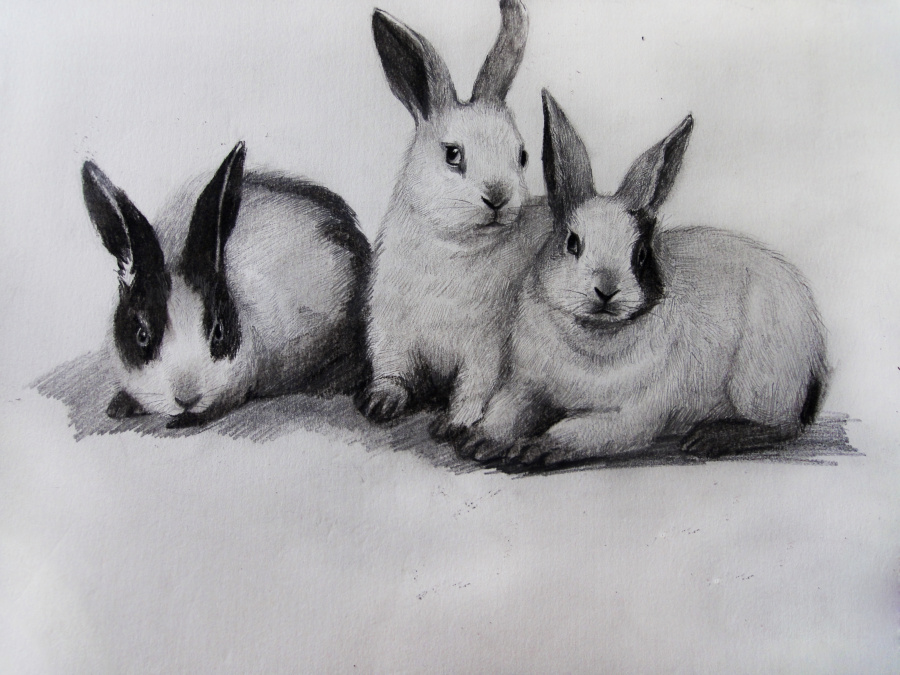 子小伟 彩铅 及素描绘画作品汇总 感谢大家一路