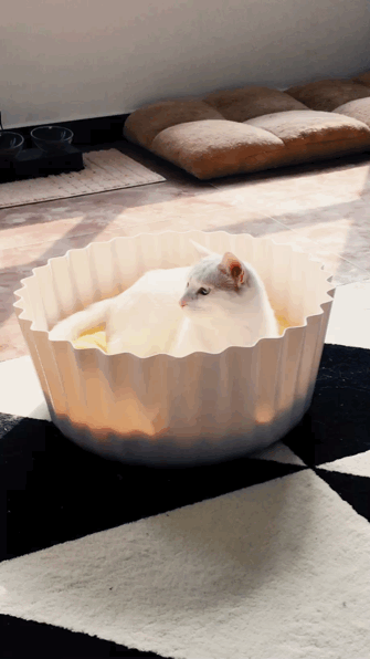 要要买买买表情包-纳豆真喵出镜!壁纸彩蛋