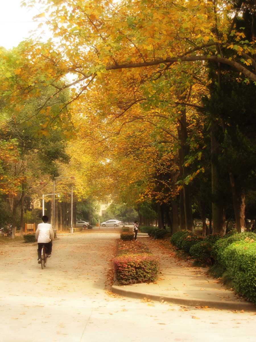 歌词配照片《天使的翅膀》|其他摄影|摄影|hs4