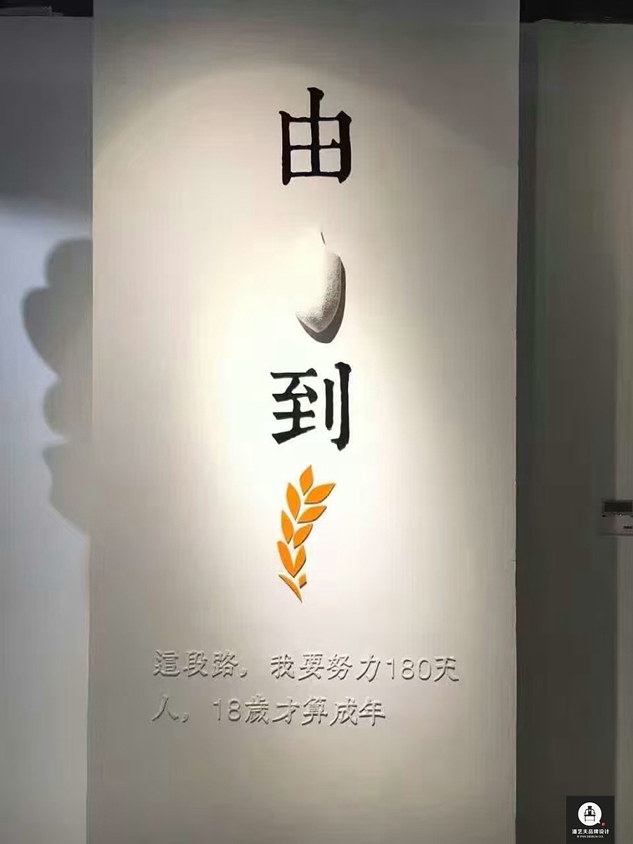 一粒米的坚持-遇稻X中华城全国首届农业主题光