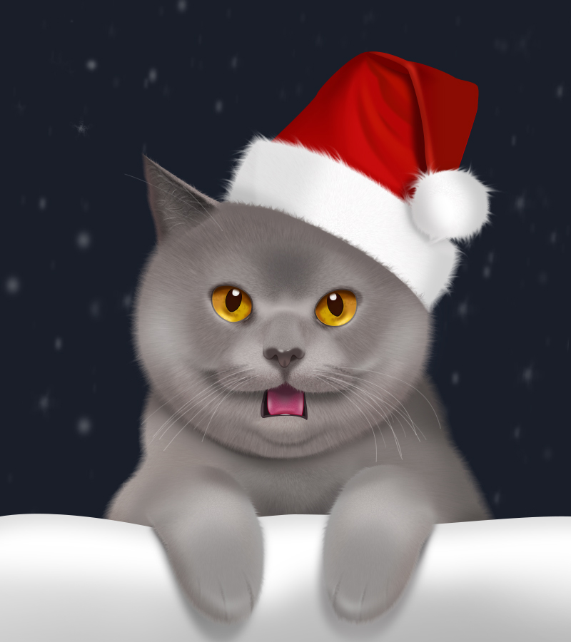 壁纸 动漫 动物 卡通 漫画 猫 猫咪 头像 小猫 桌面 800_900_动物世界 壁纸 动漫 动物 卡通 漫画 猫 猫咪 头像 小猫 桌面 800_900