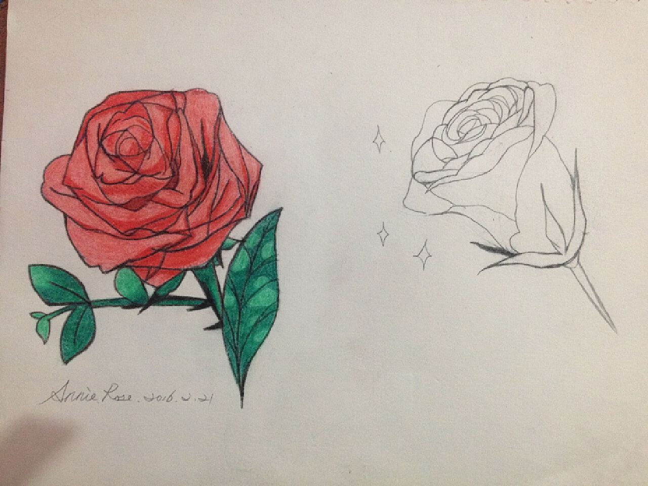 春天来了素描一张蔷薇花|插画|创作习作|萌点奇怪的女汉子 - 原创作品