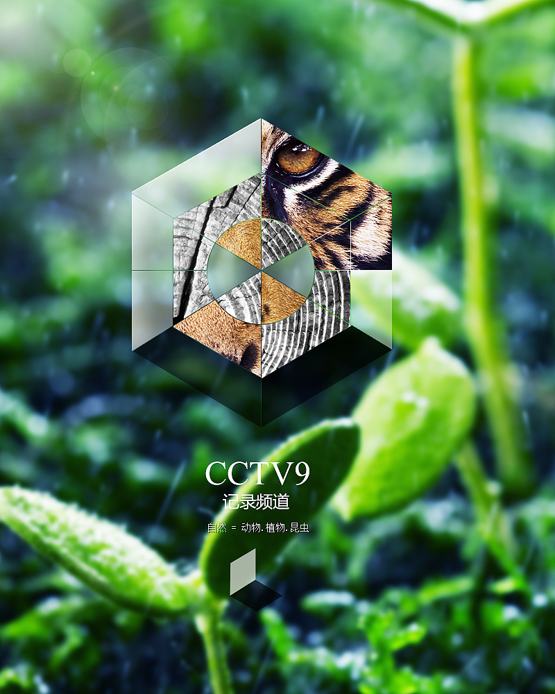 CCTV9纪录频道,频道LOGO艺术化演绎 我的作