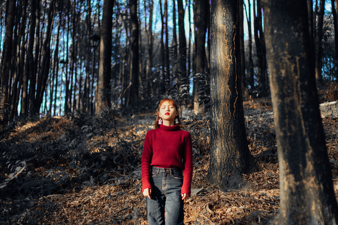 壁纸 风景 森林 桌面 1280_853