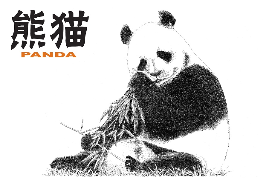 手绘熊猫 明信片