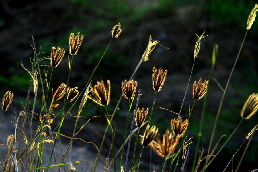 黄昏以后,天亮以前|风光|摄影|Macskying - 原创