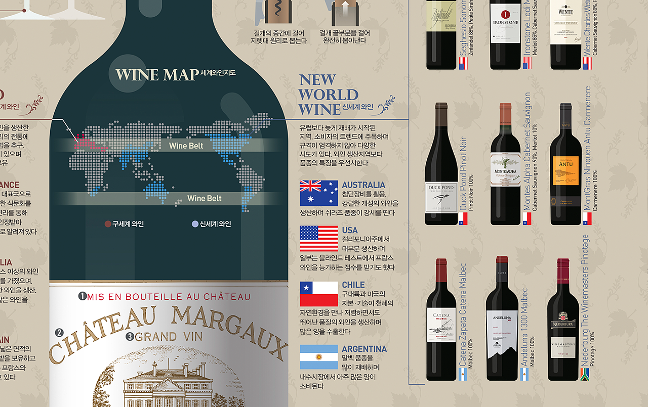 1801 red wine infographic poster