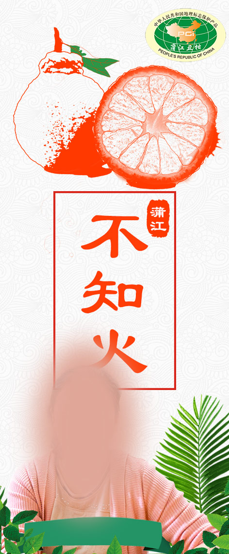 蒲江不知火柑橘丑柑绿色生态拥有地标宣传贴纸