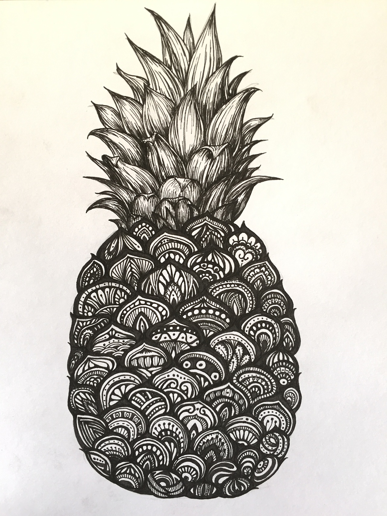 黑白插画——菠萝
