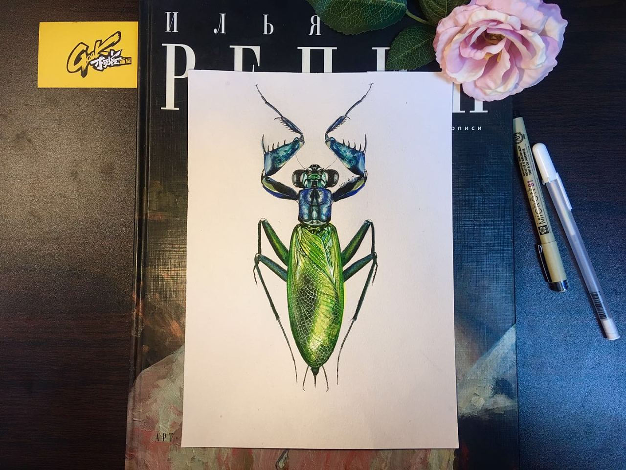 昆虫系列-螳螂|纯艺术|绘画|雪柜同学 - 原创作品