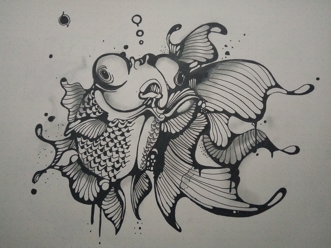 最近画的几条鱼