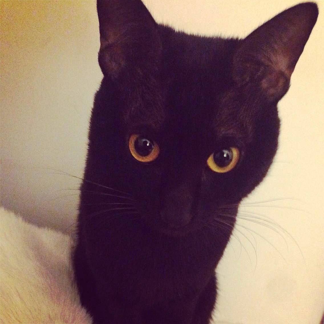 尺玉霄飞练和啸铁两位大侠的传奇故事|摄影|动