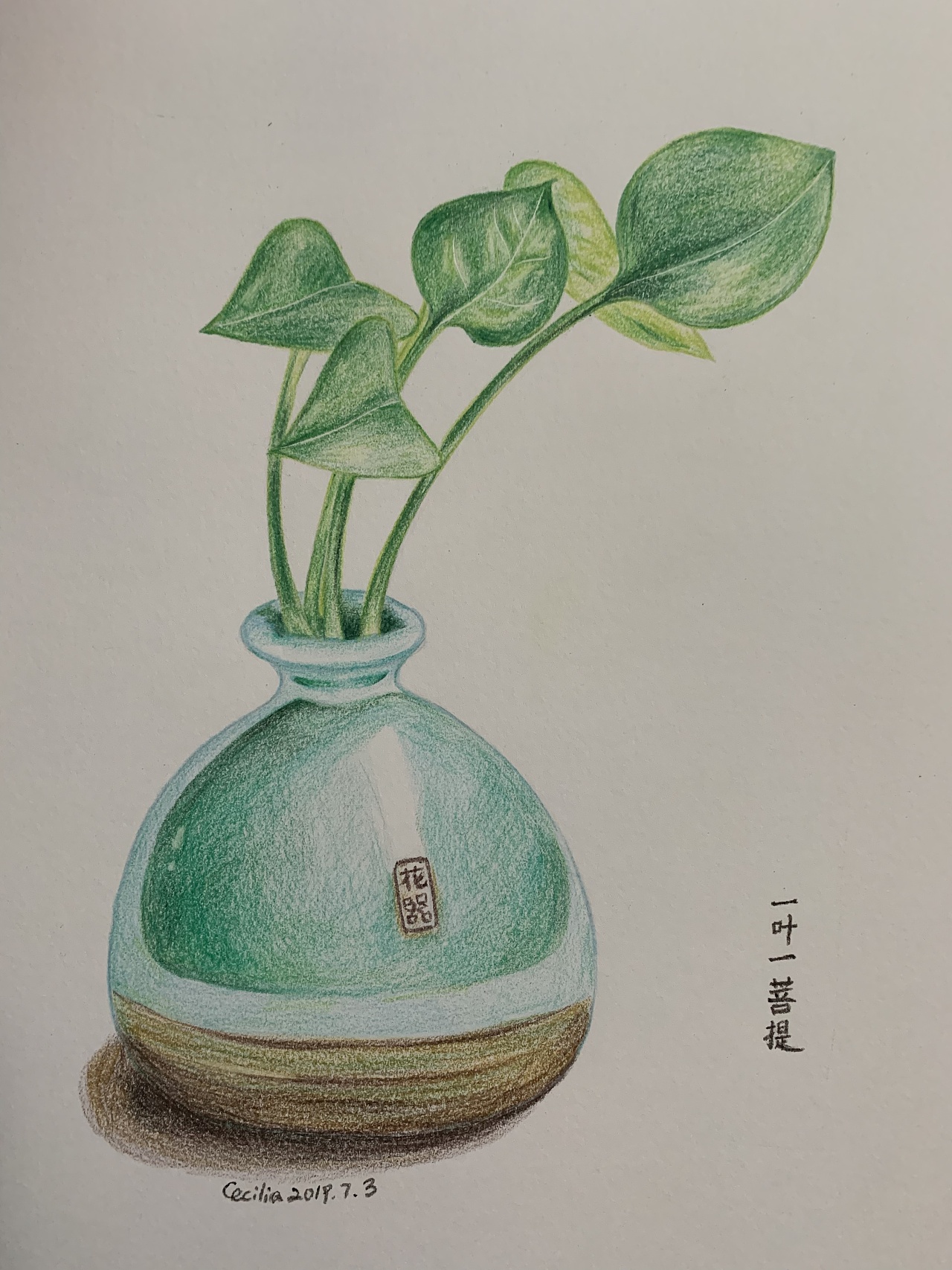 彩色铅笔手绘 步骤图 花瓶绿叶