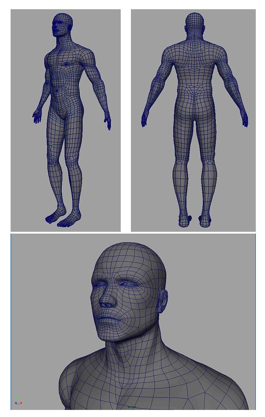 三维作品,cg建模,人体,三维动画设计.
