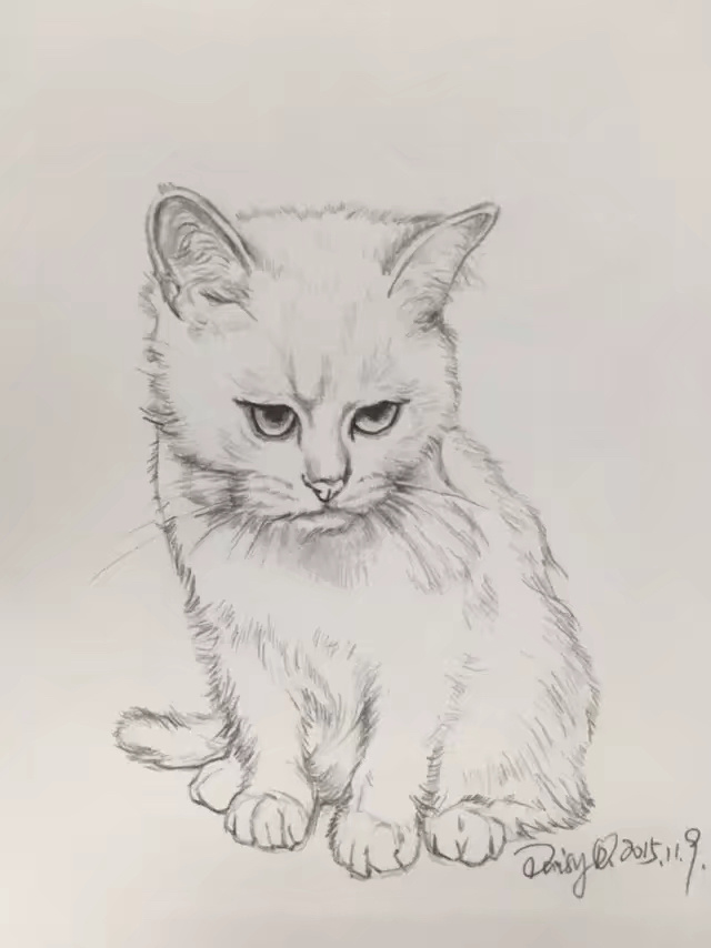 猫咪的肖像~|纯艺术|速写|蜥蜴宝宝 - 原创作品